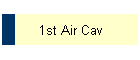 1st Air Cav